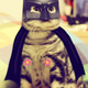Image for article titled Meet China's Next Cat Celebrity